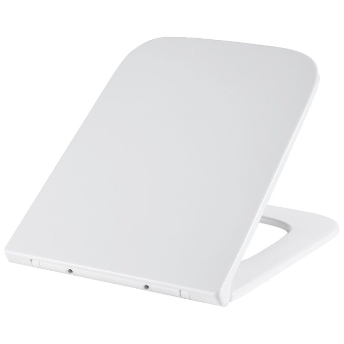 DGR0760111W Grid Кришка для унітазу з soft-close механізмом, білий глянець (1 сорт)