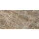 784542 ICONIC YAM HONEY GLO 60X120 (1 сорт)