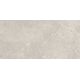 Плитка керамогранітна Sunnydust Light Grys RECT 598x1198x10 Paradyz
