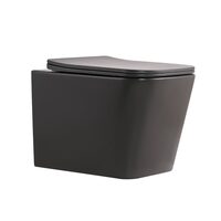 Унітаз підвісний Tern Ultra Quiet 490×365×325 мм, Anthracite, з сидінням Slim Duroplast / Soft-close / Quick Release QT17332303ASAN Qtap