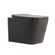 Унітаз підвісний Tern Ultra Quiet 490×365×325 мм, Anthracite, з сидінням Slim Duroplast / Soft-close / Quick Release QT17332303ASAN Qtap