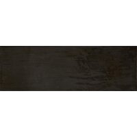 Maiolica Nero 20х60