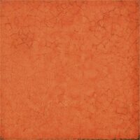 Maiolica Arancio 20х20