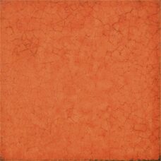 Maiolica Arancio 20х20