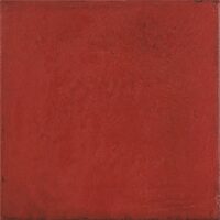 Maiolica Rosso 20х20