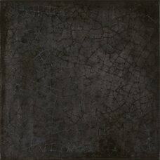 Maiolica Nero 20х20