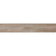 GRES ORION ORO RECT (1 сорт)