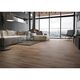 GRES ORION ORO RECT (1 сорт)
