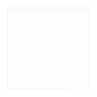 Плитка керамогранітна Super White POL 600x600 Raviraj