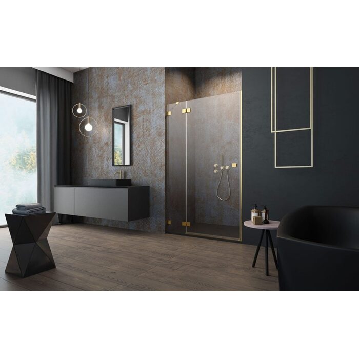 Душові двері Essenza Pro Gold DWJ 120 ліві, RADAWAY