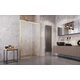 Душові двері Idea Gold DWJ 140 R RADAWAY