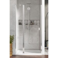 Душові двері NES 8 DWJ II 100 L RADAWAY