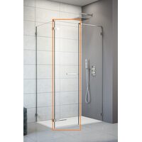 Душові двері Arta C 528 L RADAWAY