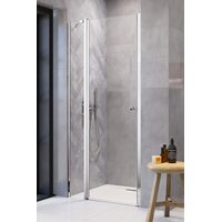 Душові двері Eos DWJ II 100 L RADAWAY