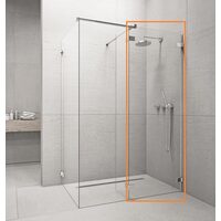 Фронтальна стінка Euphoria Walk-in III W3 100 RADAWAY