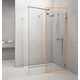 Фронтальна стінка Euphoria Walk-in III W3 100 RADAWAY