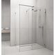 Фронтальна стінка Euphoria Walk-in III W3 100 RADAWAY