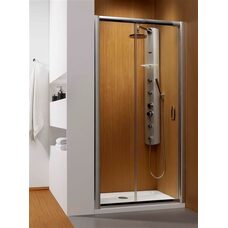 Душові двері Premium Plus DWJ 100 RADAWAY