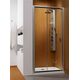 Душові двері Premium Plus DWJ 110 33302-01-06N RADAWAY