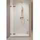 Душові двері Brushed Gold DWJ 1200Lx2000 RADAWAY