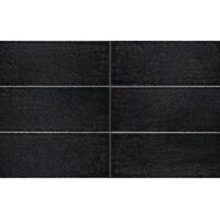 Maiolica Nero 10х30