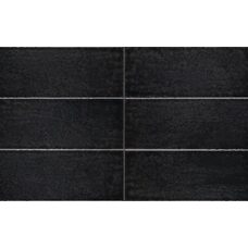 Maiolica Nero 10х30