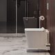 унітаз Omnires Boston 53x36 Rimless підвісний, сидіння дюропласт+інсталяція Geberit Duofix (458.126.00.1+BOSTONMWBP)