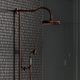 душова система з термостатом Omnires Armance antique copper (AM5244/6ORB)