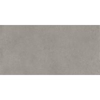 Elementi Terra Polvere Naturale 30х60