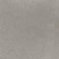 Elementi Terra Polvere Naturale 60х60