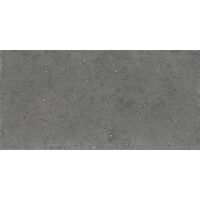 Whole Stone Grey 30х60 Natural plus
