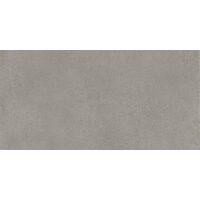 Elementi Terra Polvere Naturale 60x120