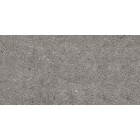 Silver Grey 60х120 Natural plus