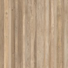Gyliane GY02 Carmen Sawdust
