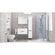 C701700WH SPIRIT Унітаз підвісний FlashClean (1 сорт)