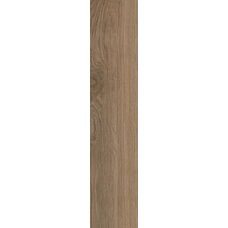 Treverkmust Brown Selection Rt