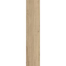 Treverkview Miele RT
