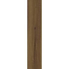 Treverkheart Brown