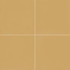 D segni Colore Mustard