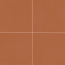 D segni Colore Tangerine