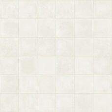 D segni Blend Osso 10x10