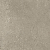 Limestone Taupe Velvet