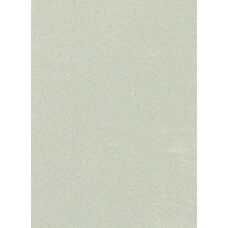 Neutro Grigio Chiaro 15x60