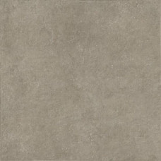 Limestone Taupe Str 120х120