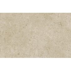 Caracter Greige Rt 60х120