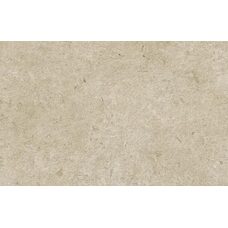 Caracter Greige Str 60х120