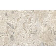Caracter Mix Multicolor Str 60х120