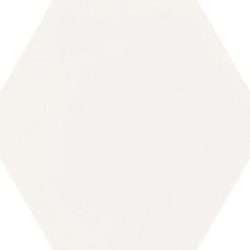 Cementum Ash