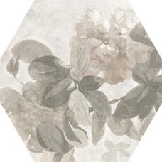 Cementum Ash Decoro Spring