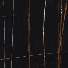 Grande Marble Look Sahara Noir Matt Rt 120x120